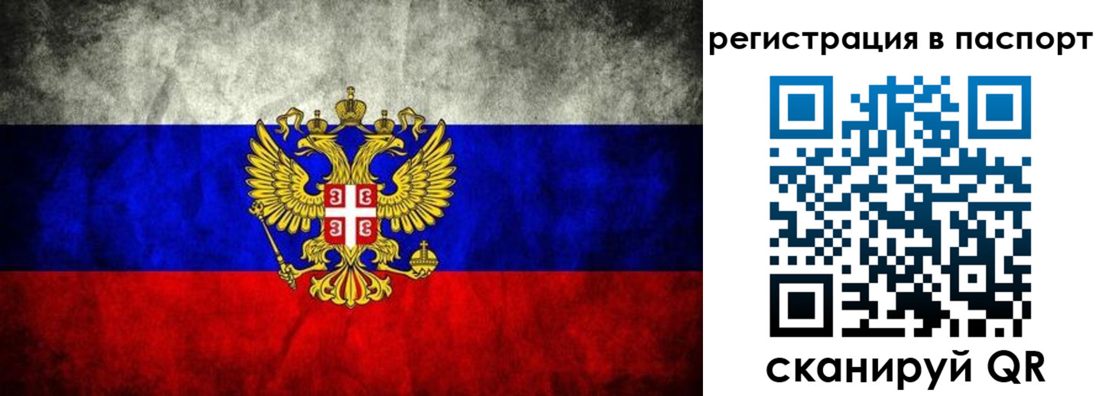 временная регистрация купить в Долгопрудном